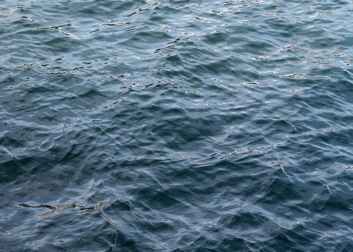 The Pier Ateliers By Daniel&jacob's